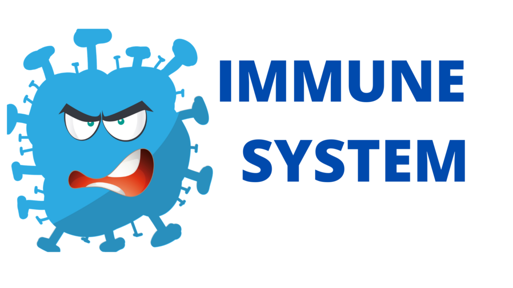 Immune System and its Parts, Immunity, White Blood Cells