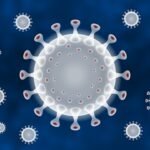 Factors influencing Ideal Immune System